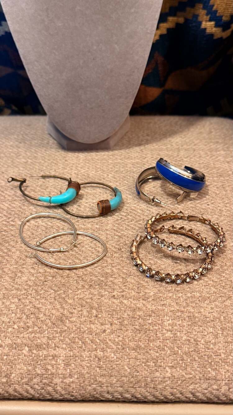 Assorted Fashion Hoop Earrings Lot